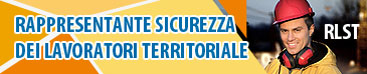 RAPPRESENTANTE SICUREZZA DEI LAVORATORI TERRITORIALI